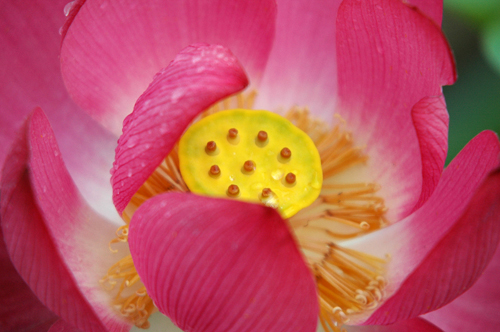 点此在新窗口浏览图片