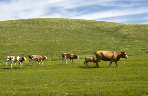 点此在新窗口浏览图片
