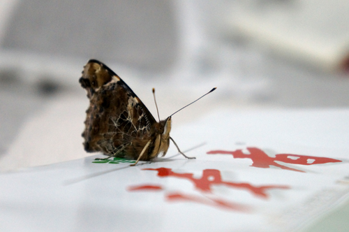 点此在新窗口浏览图片