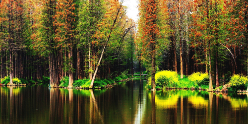 点此在新窗口浏览图片