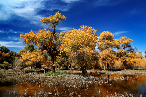 点此在新窗口浏览图片