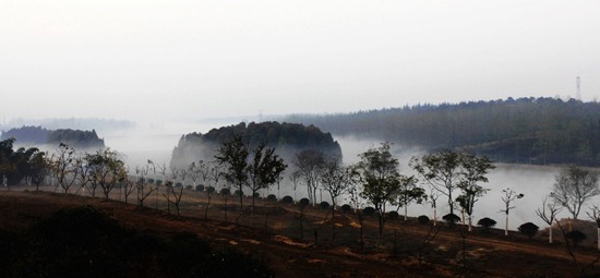点此在新窗口浏览图片