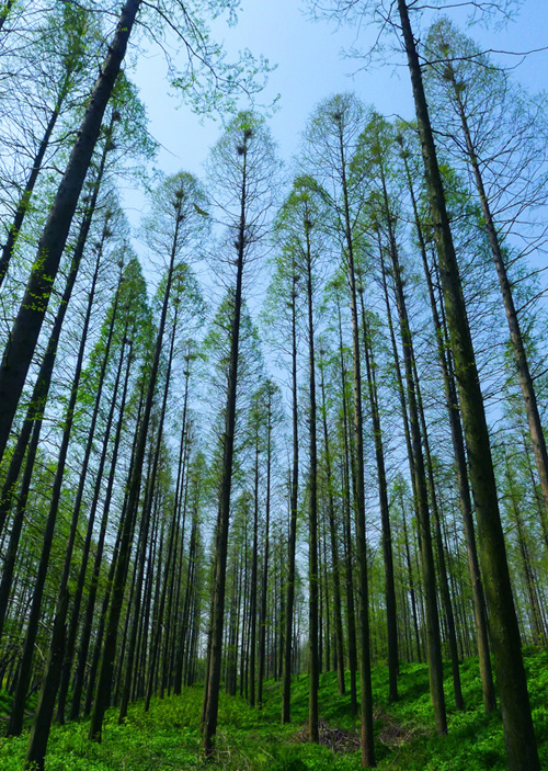 点此在新窗口浏览图片