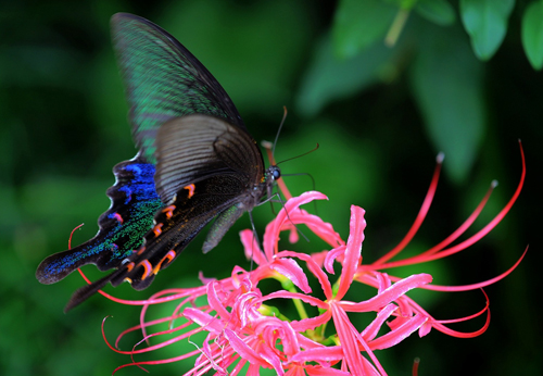 点此在新窗口浏览图片
