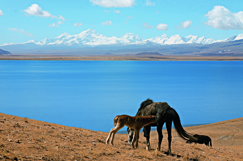 点此在新窗口浏览图片