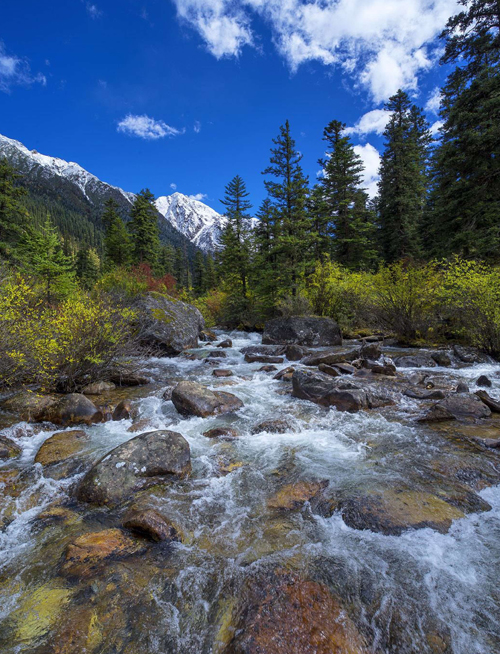 点此在新窗口浏览图片