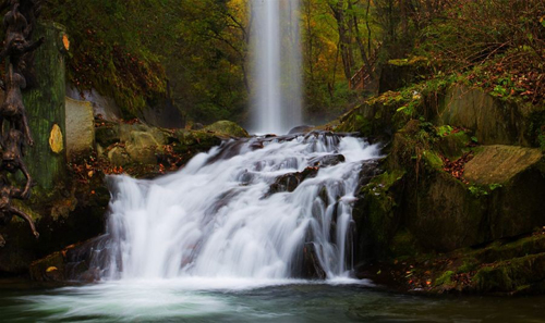 点此在新窗口浏览图片