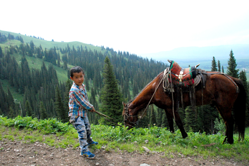 点此在新窗口浏览图片
