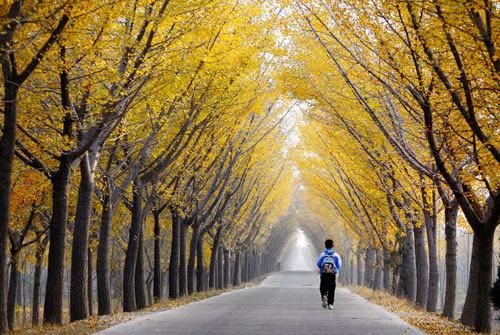 点此在新窗口浏览图片