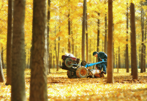 点此在新窗口浏览图片