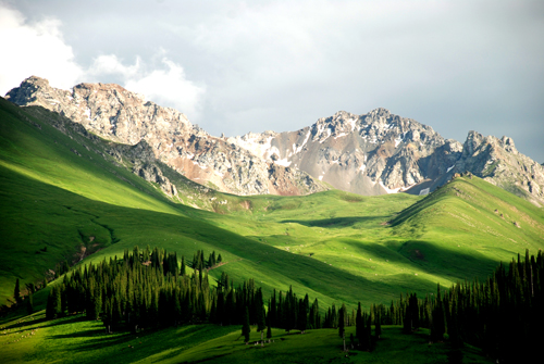点此在新窗口浏览图片