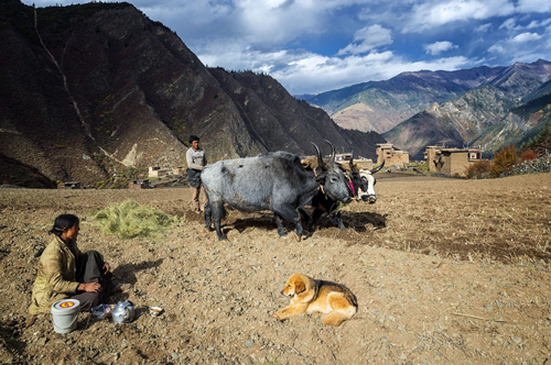 点此在新窗口浏览图片