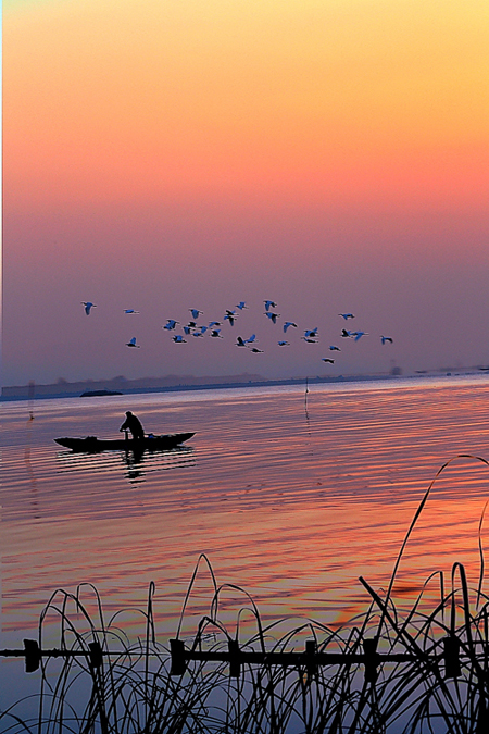 点此在新窗口浏览图片