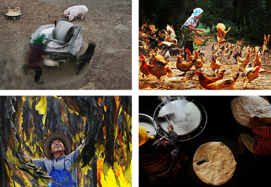 点此在新窗口浏览图片