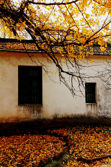 点此在新窗口浏览图片