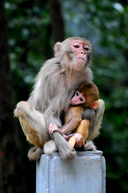 点此在新窗口浏览图片