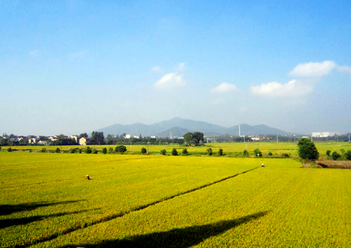 点此在新窗口浏览图片