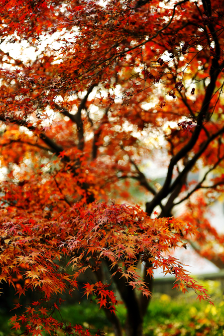 点此在新窗口浏览图片