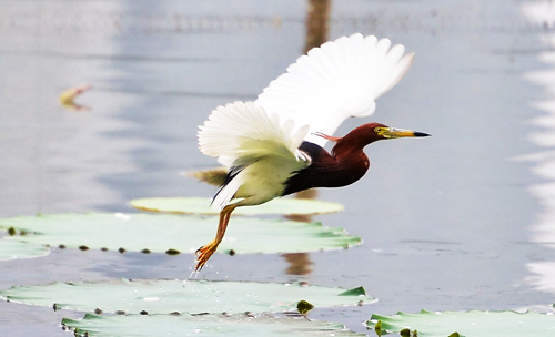 点此在新窗口浏览图片