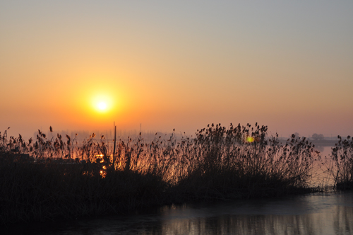 点此在新窗口浏览图片