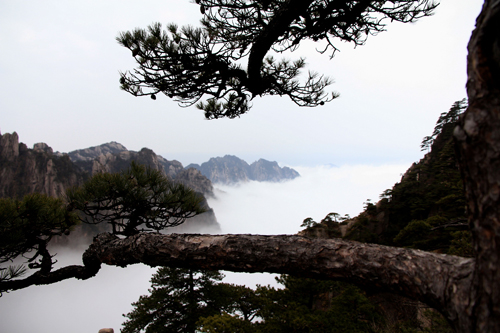 点此在新窗口浏览图片
