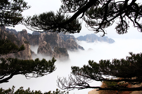 点此在新窗口浏览图片