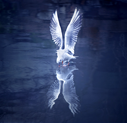 点此在新窗口浏览图片