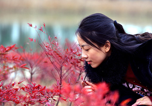 点此在新窗口浏览图片