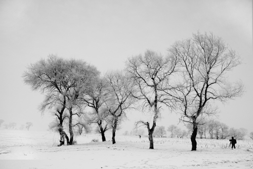 点此在新窗口浏览图片