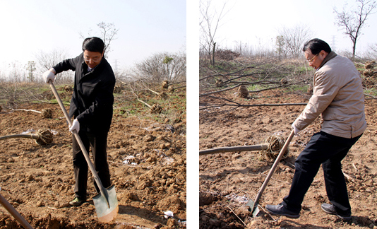 点此在新窗口浏览图片