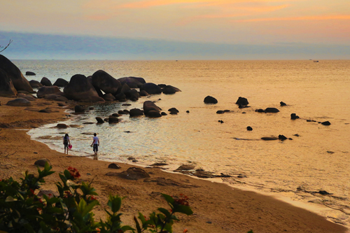 点此在新窗口浏览图片