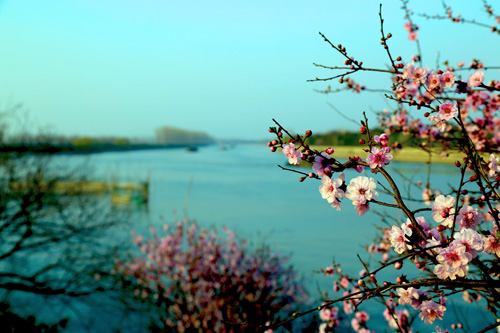 点此在新窗口浏览图片