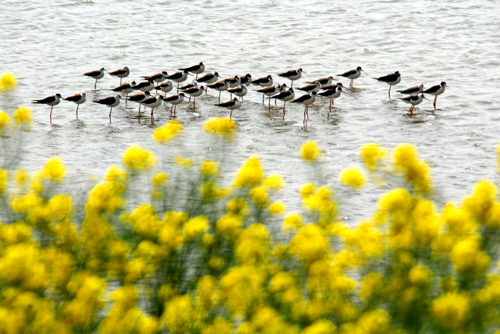 点此在新窗口浏览图片