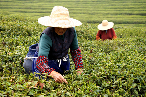 点此在新窗口浏览图片