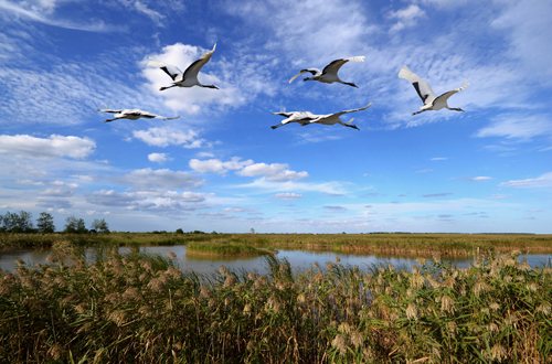 点此在新窗口浏览图片