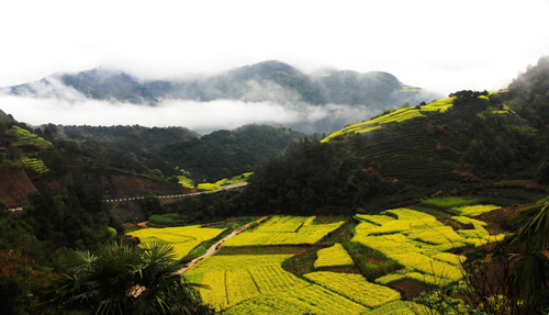 点此在新窗口浏览图片