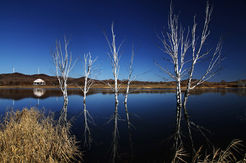 点此在新窗口浏览图片