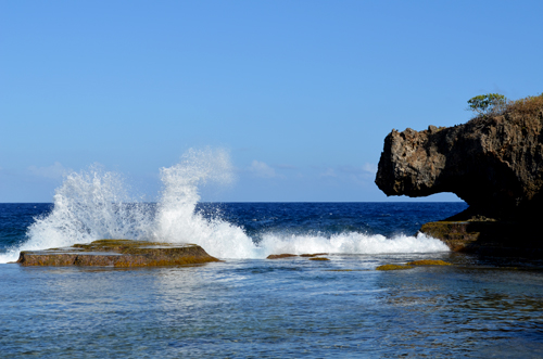 点此在新窗口浏览图片