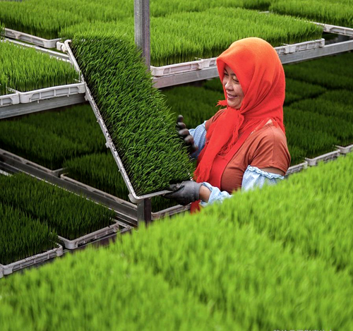 点此在新窗口浏览图片