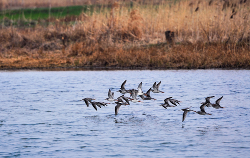 点此在新窗口浏览图片