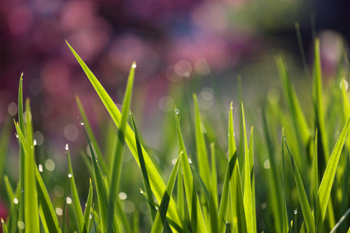 点此在新窗口浏览图片