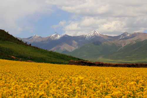 点此在新窗口浏览图片