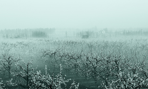 点此在新窗口浏览图片