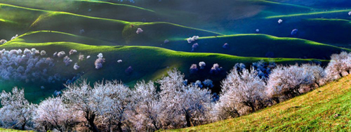 点此在新窗口浏览图片