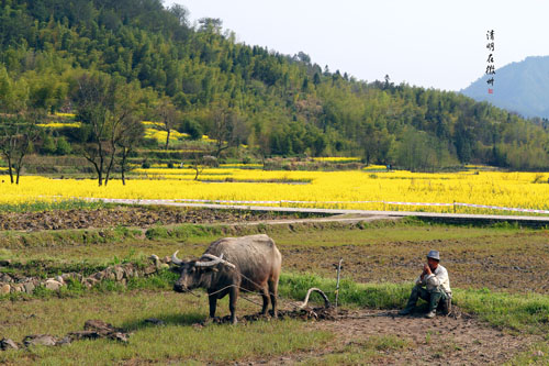 点此在新窗口浏览图片