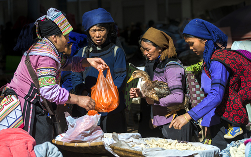 点此在新窗口浏览图片