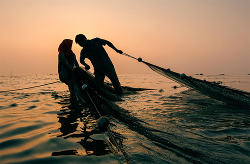 点此在新窗口浏览图片