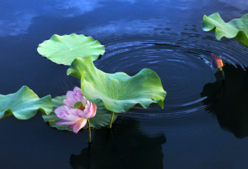 点此在新窗口浏览图片