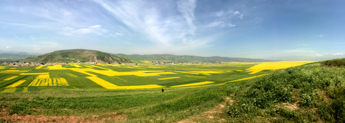 点此在新窗口浏览图片