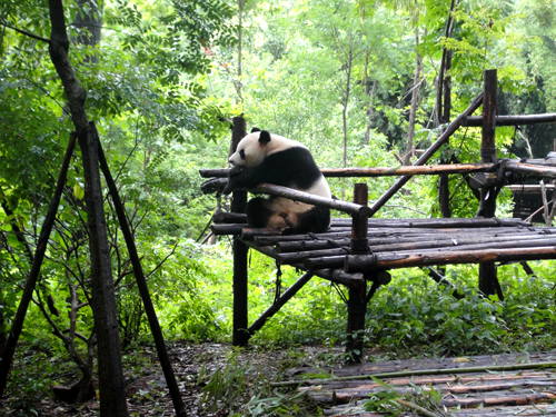 点此在新窗口浏览图片